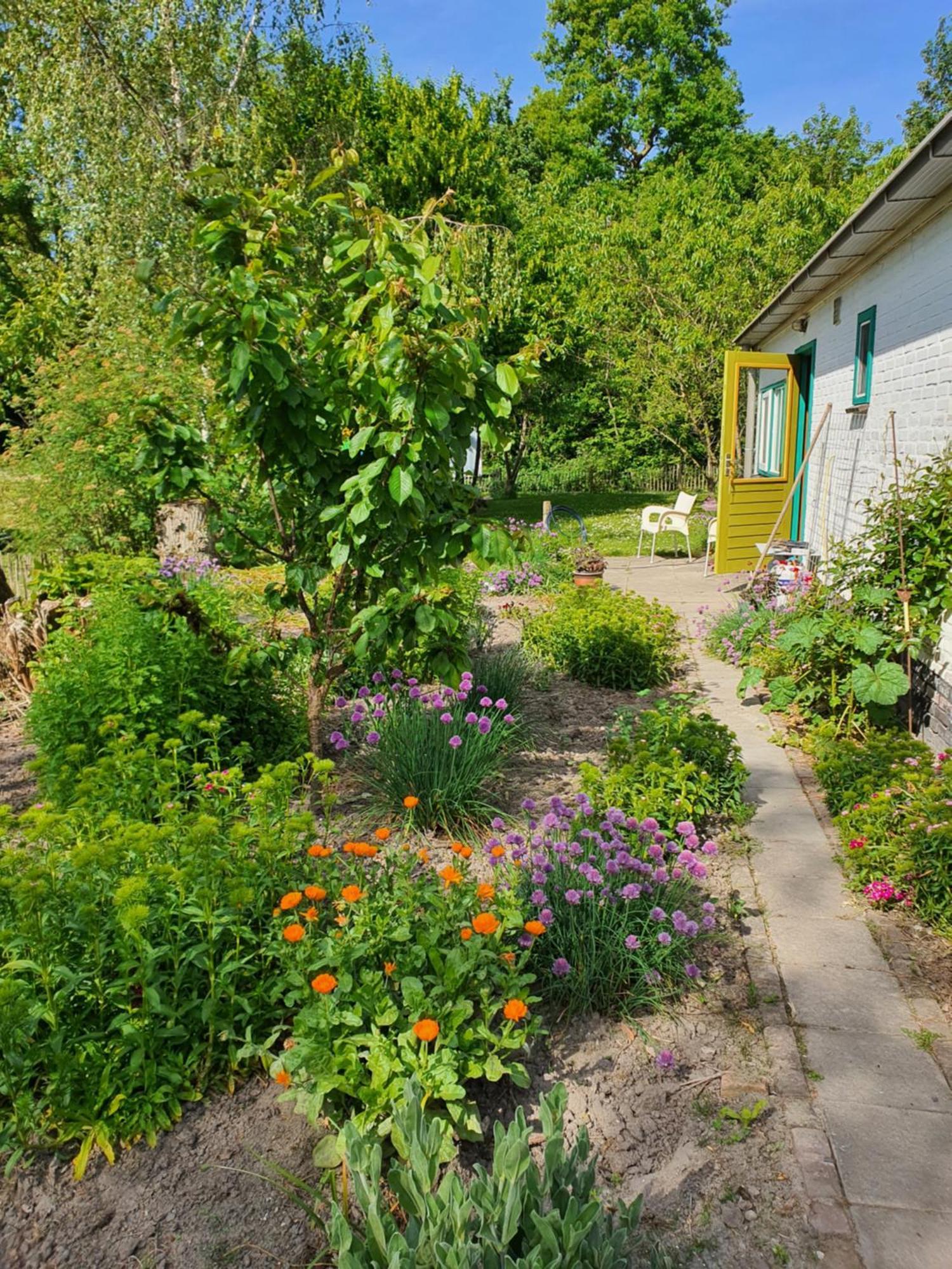 Huisje Fiederels Bant Exterior photo
